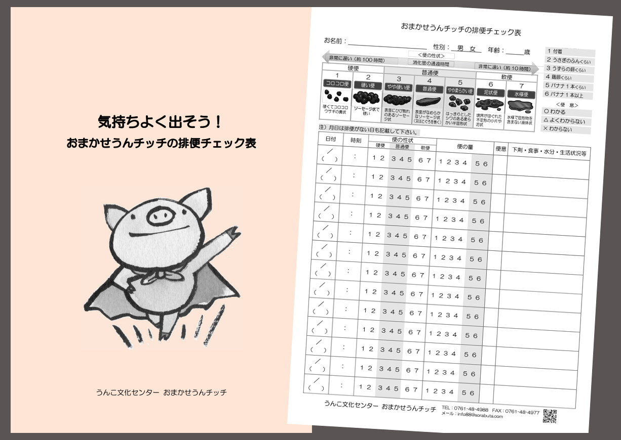 訪問看護業、レポート用紙伝票(単票)