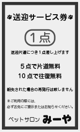 ペットサロン業で使用する【送迎サービス券】伝票（単票ペラ）の伝票作成実績