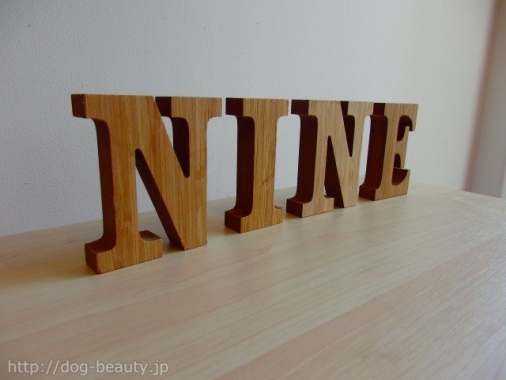 お客様のご紹介「DOG salon nine」様